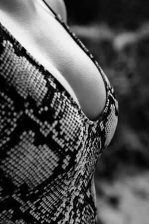 young beautiful female breasts in sneak skin swimwear closeup outdoors, monochrome