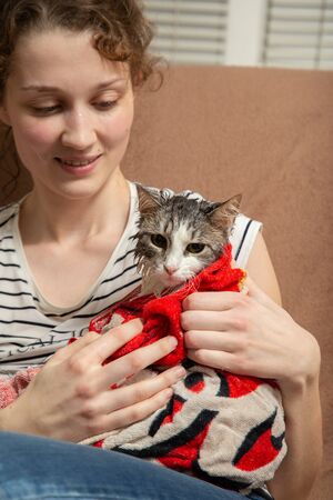 young woman with wet cat on towel after washingの写真素材