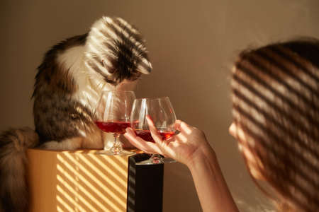 young woman drinks red wine with her catの写真素材