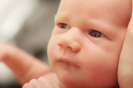 serious cute newborn lying on mother hands fur looking aside closeup portrait