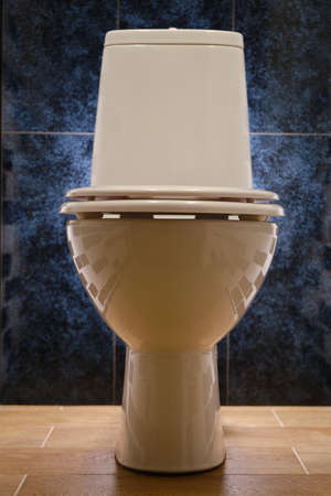 new white toilet on a wooden floor close-up view