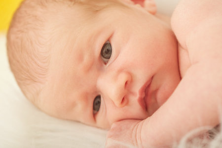 cute newborn girl lying on white fur looking at camera closeup portraitの写真素材