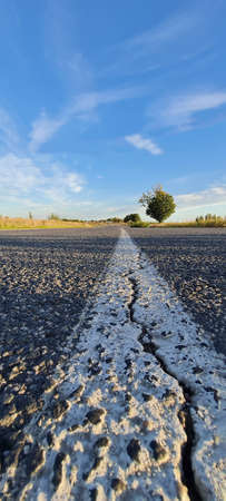 Empty road with the white traffic line with crack, low angle closeup view at sunset time