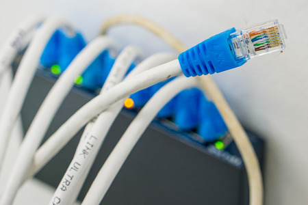 Network LAN cables in the modem.の写真素材