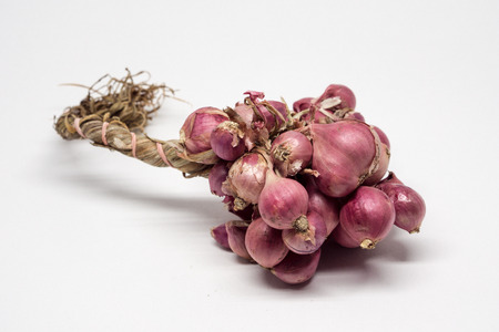 Shallot onions in a group on white background.の写真素材