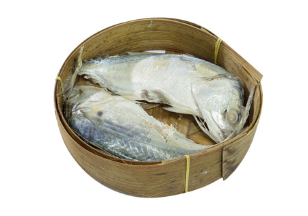 Thai Mackerel Fish isolated on white with clipping pathの写真素材