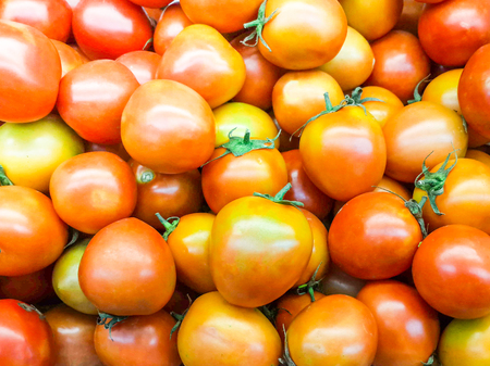 Vegetables - fresh organic cherry tomatoの写真素材