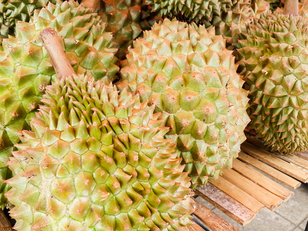The pile of Durian in fruit market,Thailandの写真素材