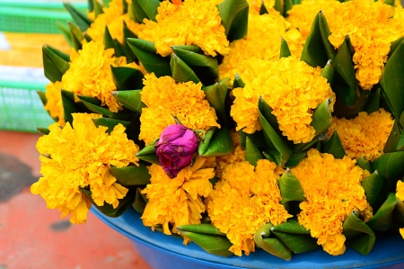 marigold flower in banana leaf for thai buddhist prayerの写真素材