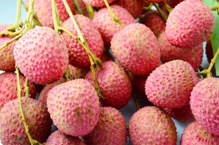 Closeup of freshly produced bunch of ripe and delicious Lychee fruitsの写真素材