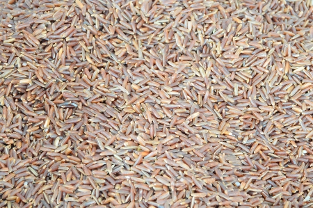 Hom Nil (name of Thailand) or Black Glutinousrice Organic rice of Thailandの写真素材