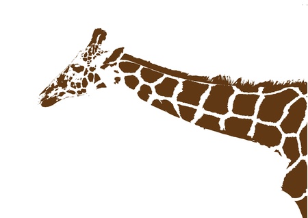 giraffe のイラスト素材