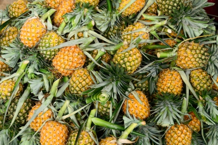 pineapple Fruit in rural market, Thailandの写真素材