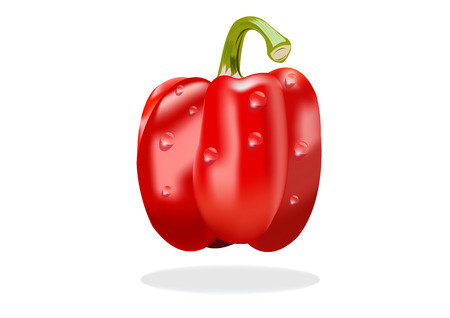 bell pepper vector imagesのイラスト素材