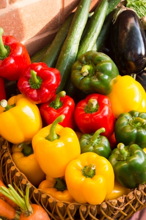 healthy Bio Vegetables on a clay brick Backgroundの写真素材