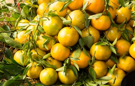 a pile of oranges ready to sell in local marketの写真素材