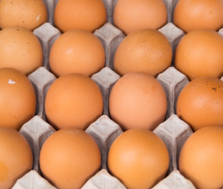 Closeup of many fresh brown eggs in carton trayの写真素材