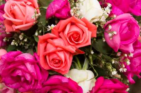 A bouquet of multicolored roses  nature backgroundの写真素材