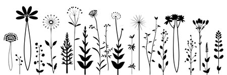 Silhouette wildflowers grass. Vector black hand drawn illustration with spring or summer flowers. Shadow of herb and plant.のイラスト素材