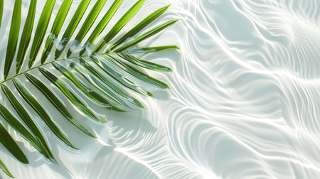 spa concept with palm leaf in wavy water.の素材