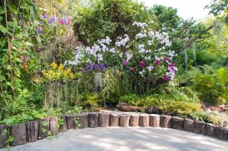 Beautiful background の写真素材