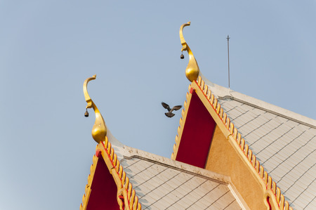 Pigeon fly near Thai temple roof with clear blue sky