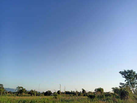 cloudless sky background in thailand.の写真素材