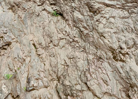 the surface of the cliffの写真素材