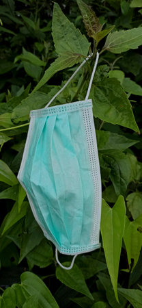 The masks were discarded in the forest.の写真素材