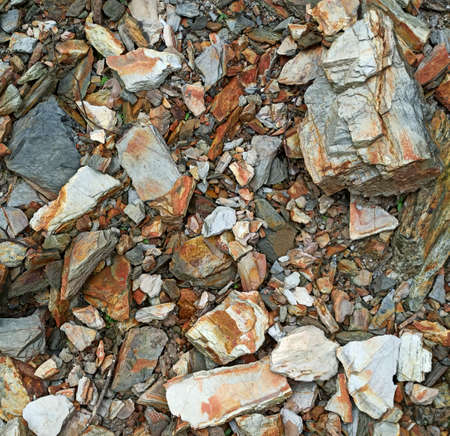 colorful stones in the forestの写真素材