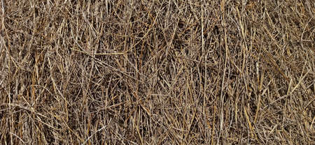 Dry straw in the gardenの写真素材