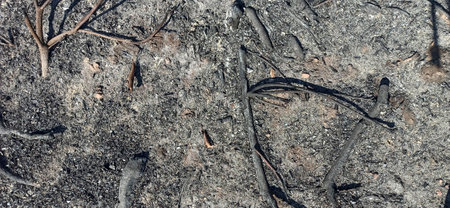 The gray ashes in the fireの写真素材