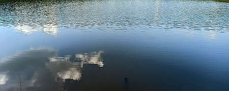 pond in the forestの写真素材