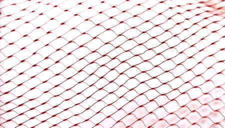 Red mesh in white backgroundの写真素材