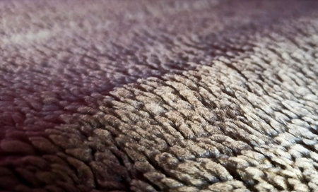 Brown Nylon Fur of Blanket