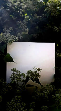 empty space on the backgroundの写真素材