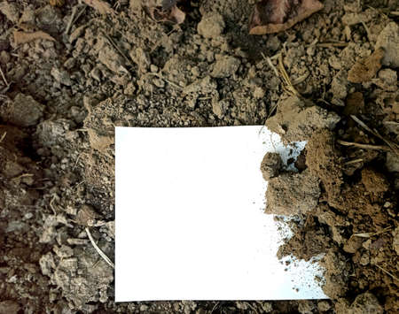 empty space on the backgroundの写真素材