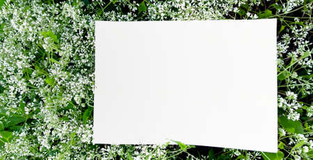 empty space on the backgroundの写真素材