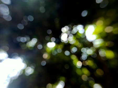 Beautiful bokeh and lighting photosの写真素材