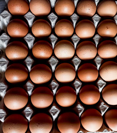 Eggs on a paper trayの写真素材