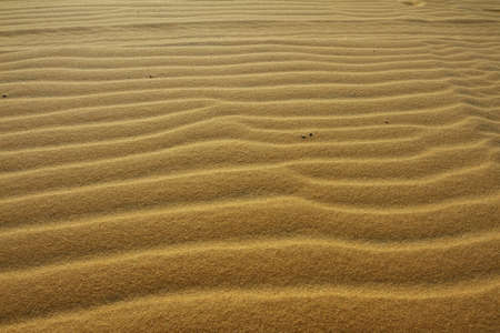 Sand pattern in the white dunes of Mui Ne in Vietnam
