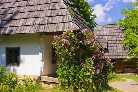 Old traditional wooden house (Ukraine).のeditorial素材