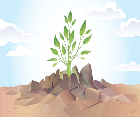 The young green sprout is breaking the dry hard soil.のイラスト素材