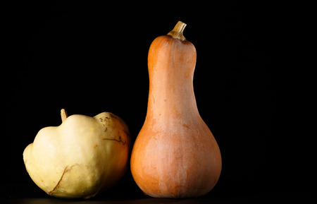pumpkinの写真素材