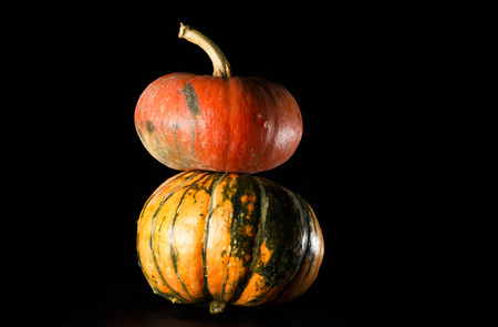 pumpkinsの写真素材