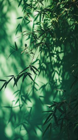 Bamboo leaves on green background, soft focus, vintage tone.の素材