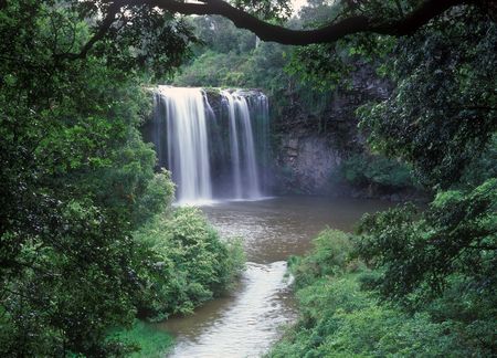 Dangar Falls, near Dorrigo, Northern New South Wales,Australiaの写真素材