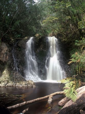 Hogarth Falls is a pleasant little waterfall nestled in the People s Park in the quaint coastal township of Strahan,Tasmania,Australiaの写真素材