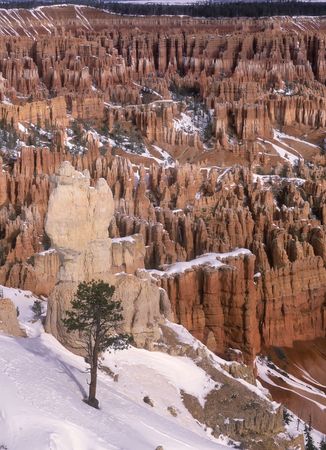 Panoramic view on Bryce canyon national park in winter sunny dayの写真素材