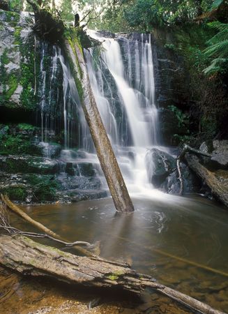 A pleasant little waterfall in deep forest in summer dayの写真素材